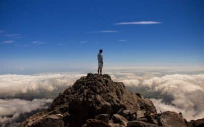 Return on Experience (ROX) in der digitalen Welt